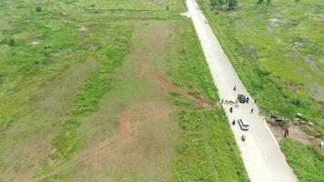 herd of cows being herded video