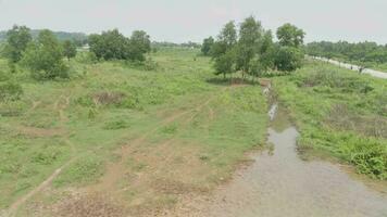 4K footage aerial view of green area of trees and a little river. video