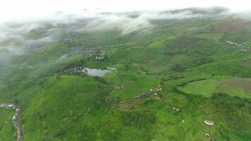 4K footage Aerial view of tea fields on a foggy morning. Natural landscape footage concept. video