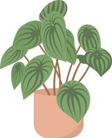 Plant in pot icon. Flat illustration of plant in pot vector icon for web