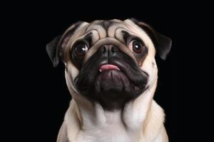 Portrait of a cute pug dog created with technology. photo