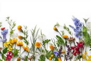 Beautiful floral onrament frame on a white background created with technology. photo