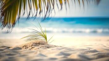 Abstract seascape with palm tree, tropical beach background photo