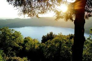 View of the lake through the trees photo