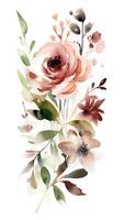 Watercolor illustration design of beautiful flowers over white background. . photo