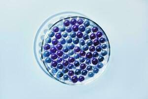 Sample of gel bubbles in petri dish on blue background, hard shadows. Abstract science, medicine and beauty concept photo