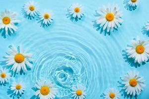 Chamomile frame in blue water background with concentric circles and ripples. Natural beauty Spa concept, Copy space photo