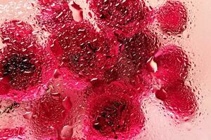 Flowers under glass with water drops. Red roses on pink background and blobs pattern photo