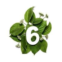 Paper number six on background of green leaves. Minimal creative Layout with natural elements for your design photo