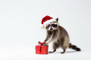 Cute raccoon in santa hat dances with red gift on white background. Merry Christmas concept. photo