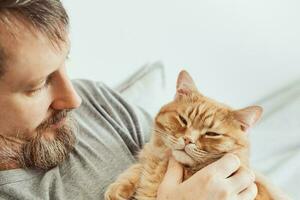 Bearded man hugging and stroking ginger cat close-up. Selective focus on cat's muzzle photo