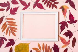 Multicolored autumn leaves frame on pink pastel background. Hello Autumn concept photo