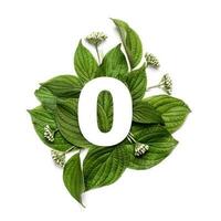 Paper number zero on background of green leaves. Minimal creative Layout with natural elements for your design photo