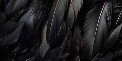 . . Photo realistic black feathers pattern background texture. Ellegant aesthetics luxury vibe. Graphic Art