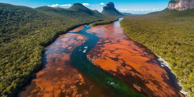 ai generado. ai generativo. foto realista ilustración de parte superior ver dron Amazonas río en el lluvia estación. aventuras tropical explorar onda. gráfico Arte