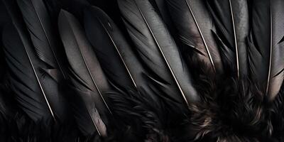 . . Photo realistic black feathers pattern background texture. Ellegant aesthetics luxury vibe. Graphic Art