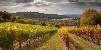 ai generado. ai generativo. viñedo a sur Francia provenza vino planta jardín cosecha. romántico relajarse frío onda. gráfico Arte foto