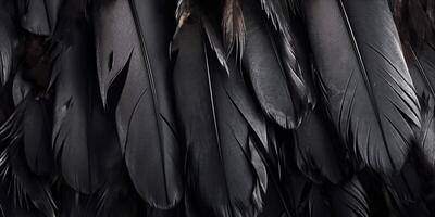 . . Photo realistic black feathers pattern background texture. Ellegant aesthetics luxury vibe. Graphic Art