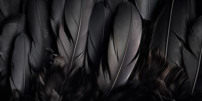 . . Photo realistic black feathers pattern background texture. Ellegant aesthetics luxury vibe. Graphic Art