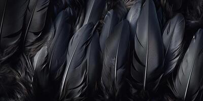 . . Photo realistic black feathers pattern background texture. Ellegant aesthetics luxury vibe. Graphic Art