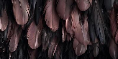 . . Photo realistic black feathers pattern background texture. Ellegant aesthetics luxury vibe. Graphic Art