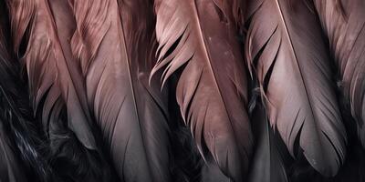 . . Photo realistic black feathers pattern background texture. Ellegant aesthetics luxury vibe. Graphic Art