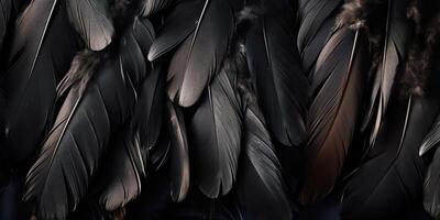 . . Photo realistic black feathers pattern background texture. Ellegant aesthetics luxury vibe. Graphic Art