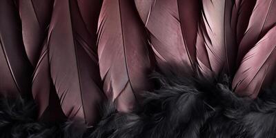 . . Photo realistic black feathers pattern background texture. Ellegant aesthetics luxury vibe. Graphic Art