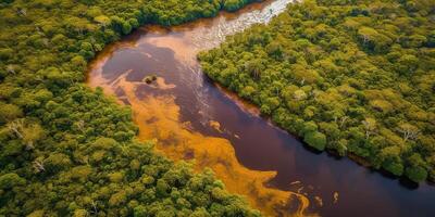 . . Photo realistic illustration of top view dron amazon river in the rain season. Adventure tropical explore vibe. Graphic Art