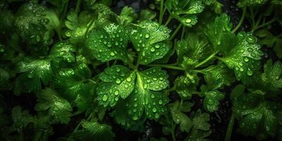 ai generado. ai generativo. verde eco orgánico salud cilantro ensalada hierbas decoración salud estilo de vida onda. gráfico Arte foto