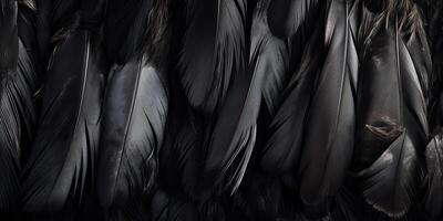 . . Photo realistic black feathers pattern background texture. Ellegant aesthetics luxury vibe. Graphic Art