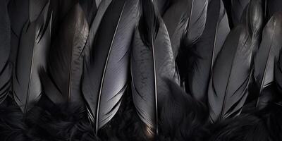 . . Photo realistic black feathers pattern background texture. Ellegant aesthetics luxury vibe. Graphic Art