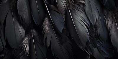 . . Photo realistic black feathers pattern background texture. Ellegant aesthetics luxury vibe. Graphic Art