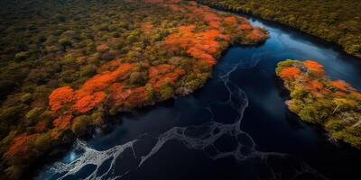 ai generado. ai generativo. foto realista ilustración de parte superior ver dron Amazonas río en el lluvia estación. aventuras tropical explorar onda. gráfico Arte