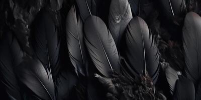 . . Photo realistic black feathers pattern background texture. Ellegant aesthetics luxury vibe. Graphic Art