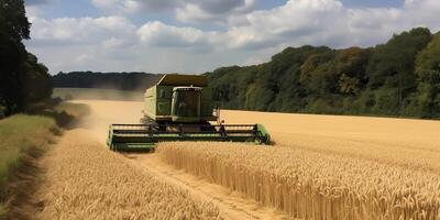 ai generado. ai generativo. segador combinar tractor a puesta de sol campo de trigo grano planta. granjero al aire libre inspirador onda. gráfico Arte foto