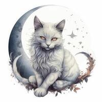 moon fairy cat on white background. photo