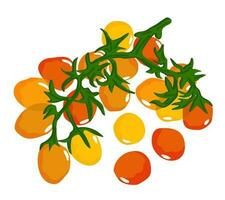 Branch of tomatoes. Colorful tomatoes with leaves. Vector isolated illustration.