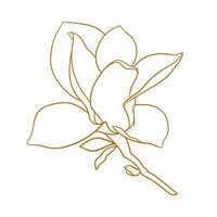 magnolia flor con rama en oro color. vector