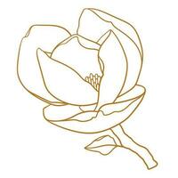 Magnolia flower with branch in gold color. vector