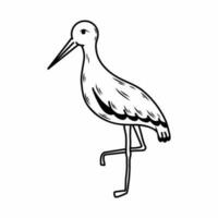 Doodle style stork. Bird on  white background. vector