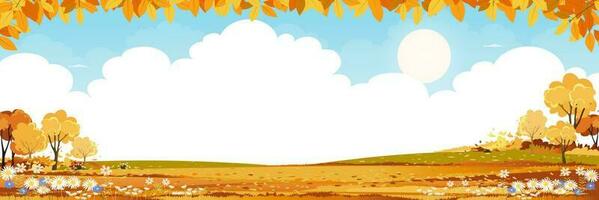 Autumn fields landscape with mountain,blue sky,cloud with copy space,Panorama Fall rural nature with range foliage,Cartoon vector illustration banner for Thanksgiving or Mid autumn festival background