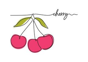 Cherry continuous one line drawing, fruit vector illustration.