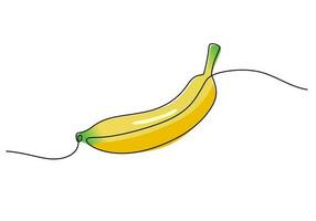 Banana continuous one line drawing, fruit vector illustration.