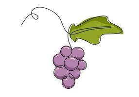 Grapes continuous one line drawing, fruit vector illustration.