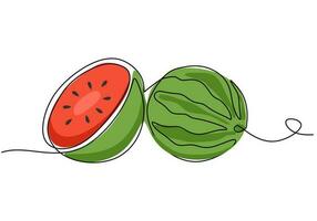 Watermelon continuous one line drawing, fruit vector illustration.