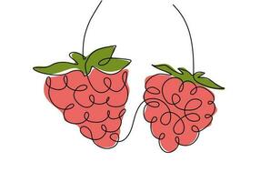 Raspberry continuous one line drawing, fruit vector illustration.