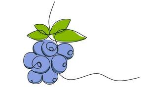 Blueberry continuous one line drawing, fruit vector illustration.