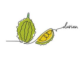 Durian continuous one line drawing, fruit vector illustration.