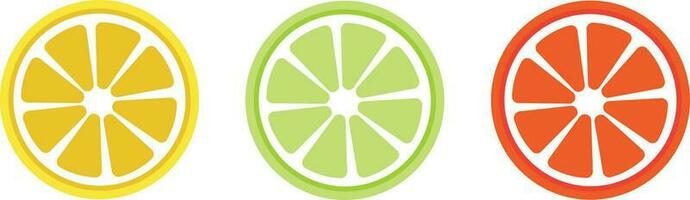 Citrus slice set. Lemon slice. Orange slice. Lime slice. Vector illustration